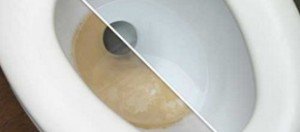 выбираем чистящее средство для унитаза