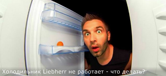 что делать если холодильник не работает