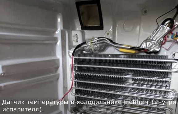 датчик