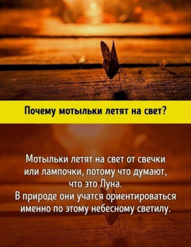 10 научных ответов на простые детские вопросы