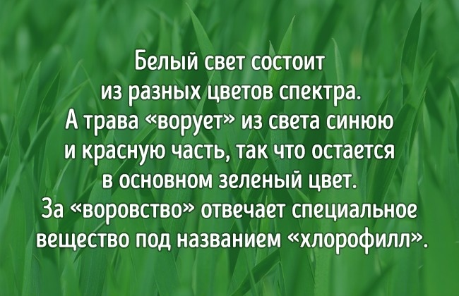 10 научных ответов на простые детские вопросы