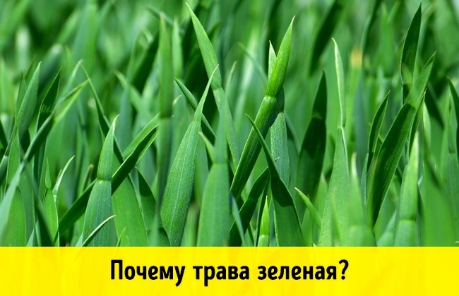 10 научных ответов на простые детские вопросы