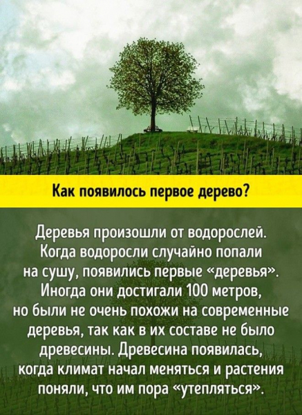10 научных ответов на простые детские вопросы