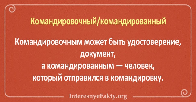 10 пар слов, значения которых постоянно путают
