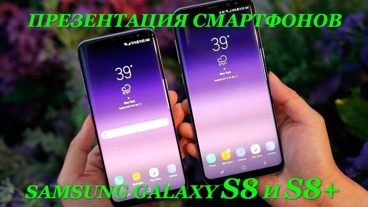 5 лучших инкубаторов с алиэкспресс — народный рейтинг