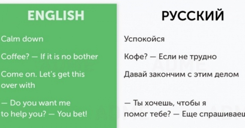 50 английских фраз для общения