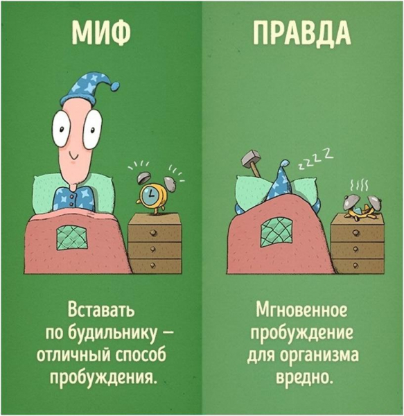 6 мифов, о которых вы могли не знать