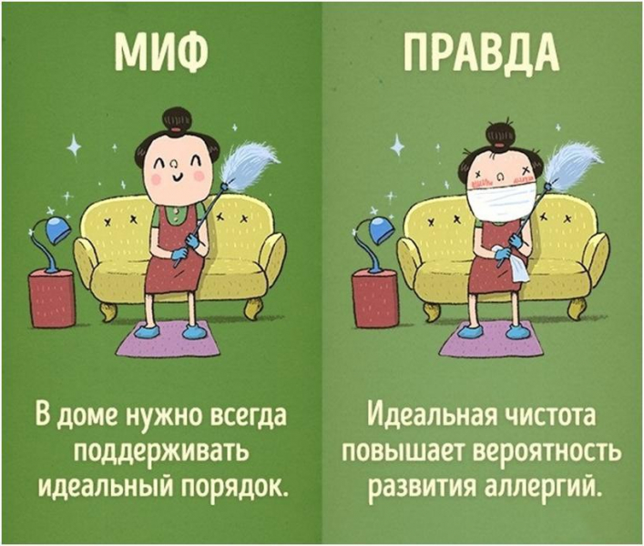 6 мифов, о которых вы могли не знать