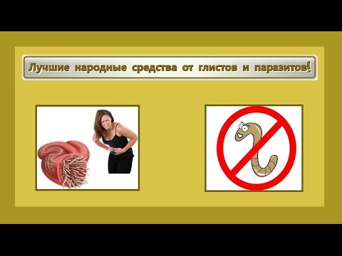 8 лучших средств от паразитов — народный рейтинг