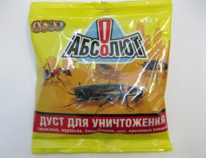 Абсолют от муравьев