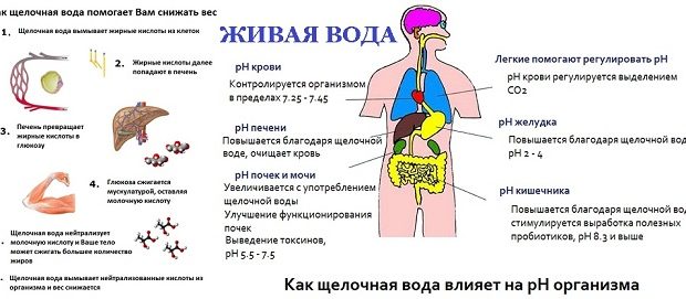 Активатор воды своими руками: особенности, схема изготовления, правила эксплуатации