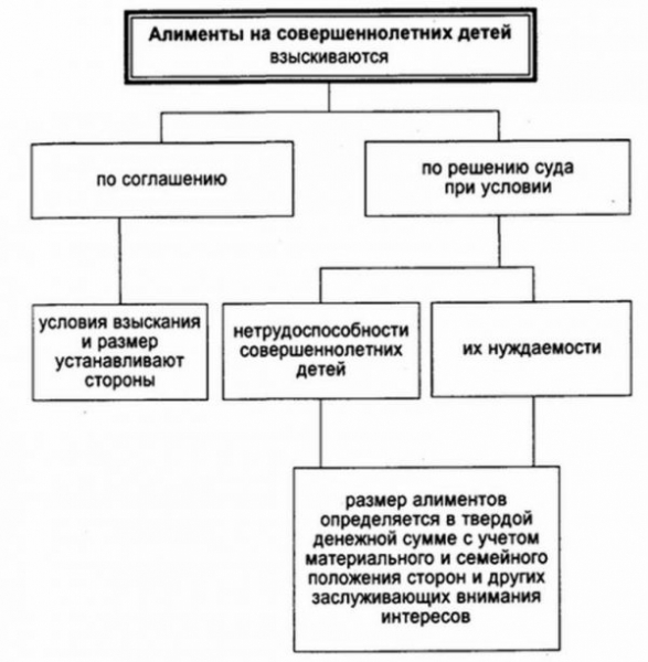 Алименты на ребенка — новый закон 2019, свежие изменения, размер