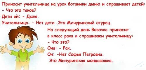 Анекдоты про вовочку – смешные до слез