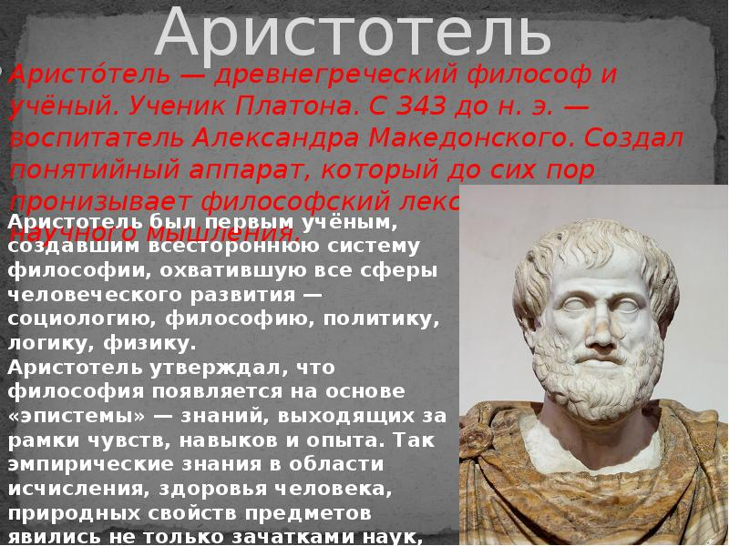 Аристотель и болтун интересные факты