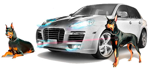 Авторская противоугонная система для авто