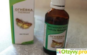 Бабочка огневка