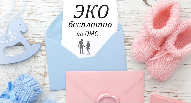 Бесплатное эко по омс в 2019 году