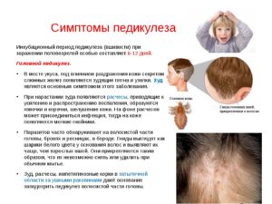 Чем лечить педикулез в домашних условиях у детей и взрослых