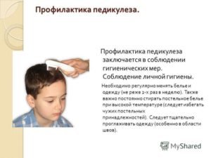 Чем лечить педикулез в домашних условиях у детей и взрослых