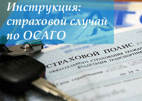 Что делать, если в страховом полисе осаго допущена ошибка при оформлении: инструкция