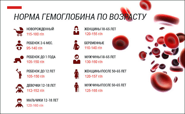 Что такое гемоглобин интересные факты