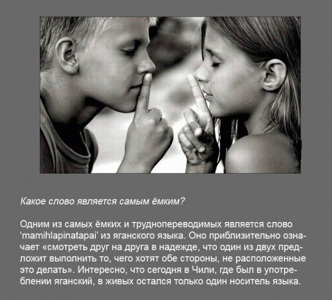 Что такое мем – интересные факты