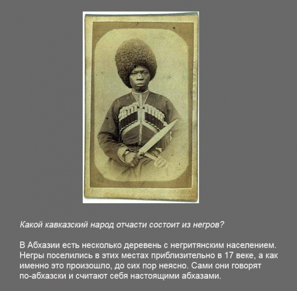 Что такое мем – интересные факты