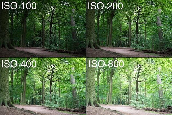 Что значит стандарт iso в фотоаппарате, как он работает, связь с экспозицией