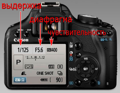 Для чего нужна выдержка на фотоаппарате, как выбрать и настроить нужное значение