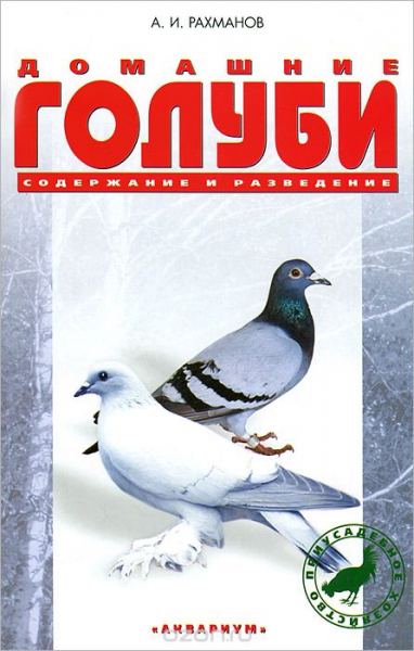 Домашние голуби: содержание и разведение