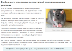 Домовые мыши