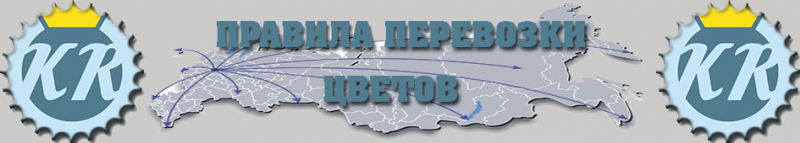 Доставка цветов автотранспортом: особенности перевозки