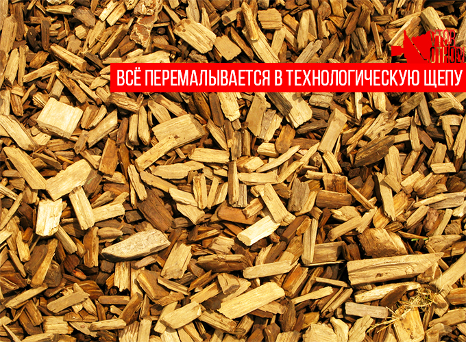 Дробилка для винограда: назначение, виды, механическая, с гребнеотделителем, правила эксплуатации, изготовление своими руками, чертежи