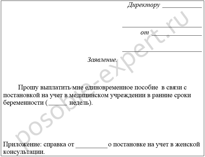 Единовременное пособие при рождении ребенка в 2019 году матерям или отцу (мужу): размер и порядок выплаты, образец заявления и необходимые документы