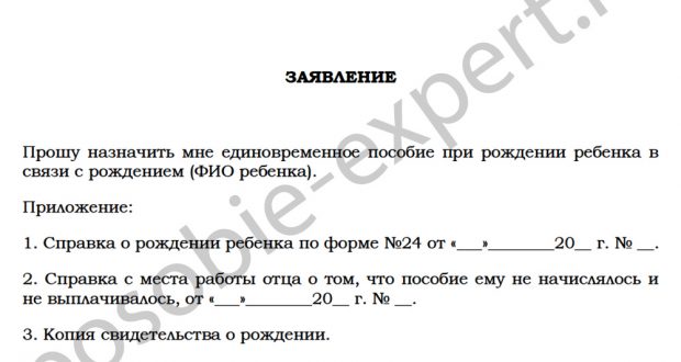 Единовременное пособие при рождении ребенка в 2019 году матерям или отцу (мужу): размер и порядок выплаты, образец заявления и необходимые документы