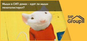 Едят ли мыши пеноплекс
