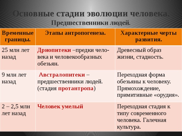 Эволюция человека – древний человек и этапы развития