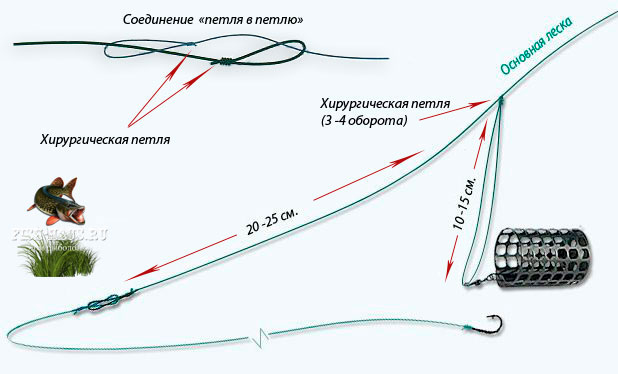 Фидерные оснастки для ловли леща