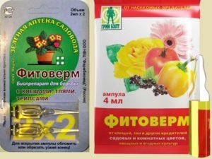 Фитоверм от тли