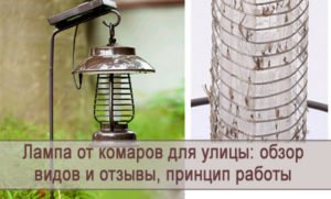 Фонари от комаров для улицы и дома