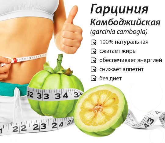 Гарциния камбоджийская для похудения, отзывы, инструкция