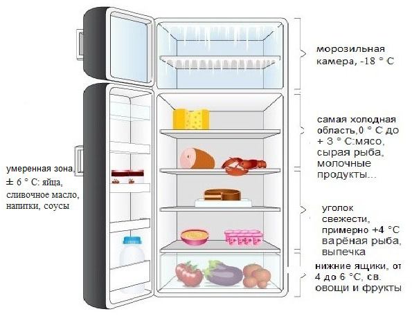 Где самое холодное место в холодильнике: однокамерном и двухкамерном