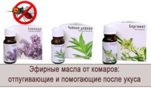 Гвоздичное масло от комаров