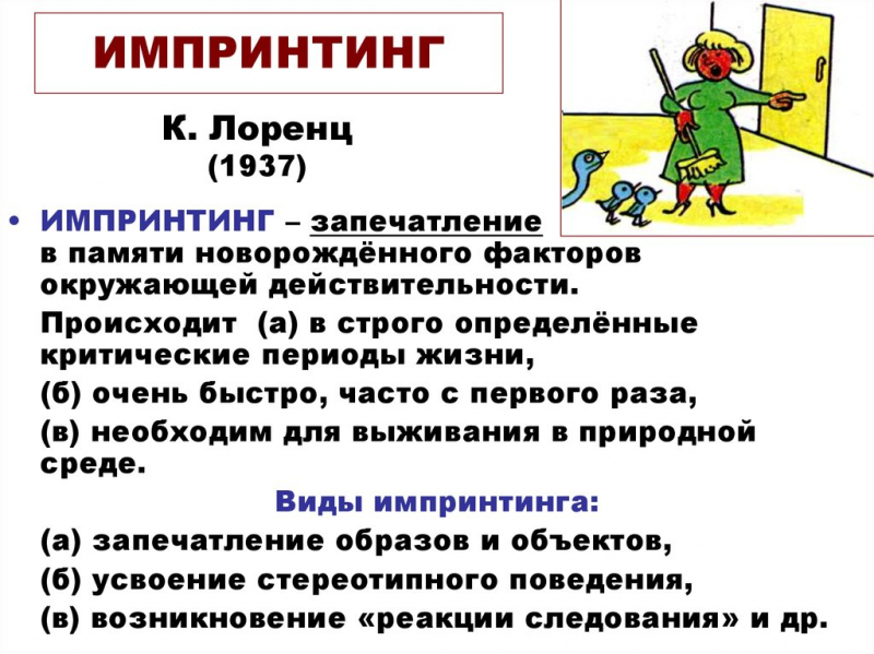 Импринтинг – значение и примеры
