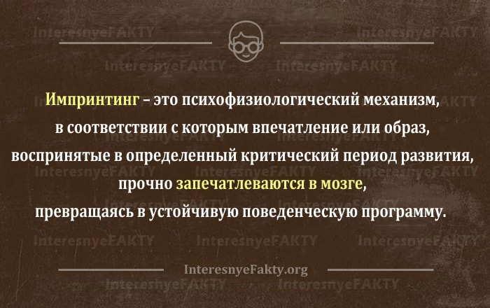 Импринтинг – значение и примеры