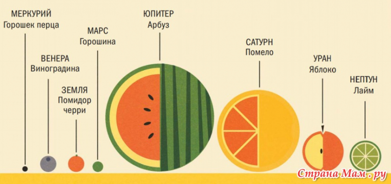 Интересные факты для школьников