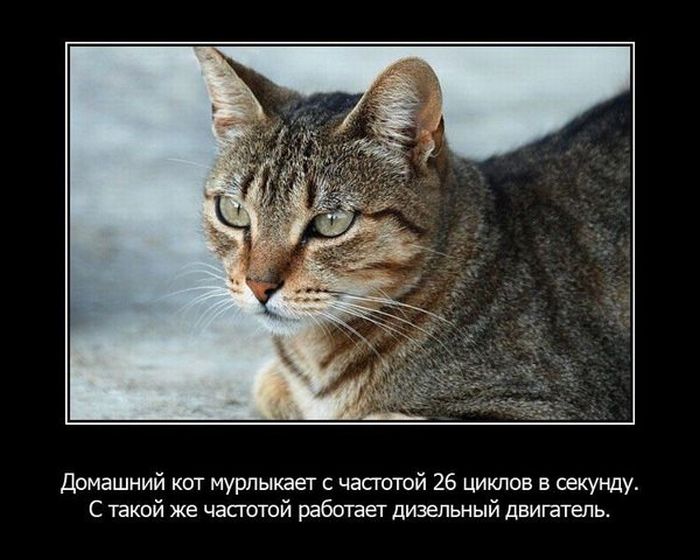 Интересные факты из жизни