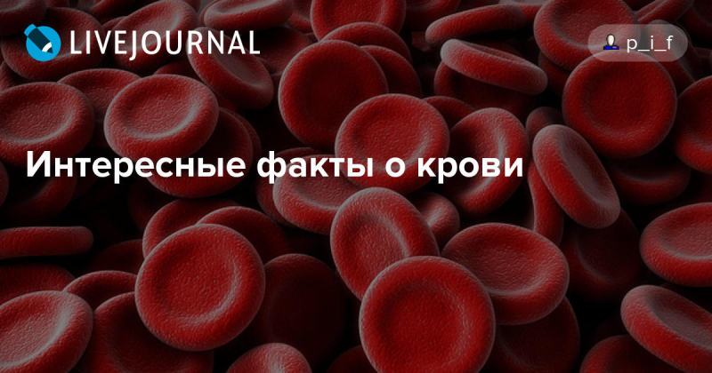 Интересные факты о крови