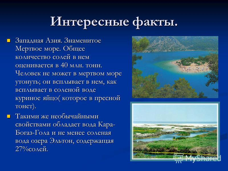 Интересные факты о равновесии