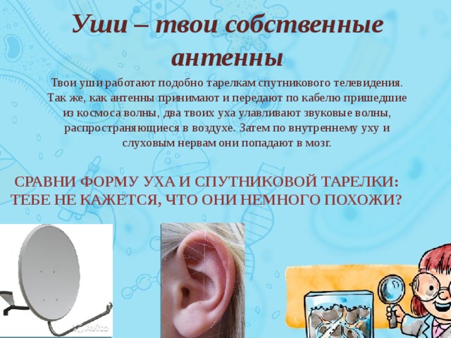 Интересные факты о равновесии